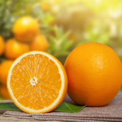 Mandarin orange